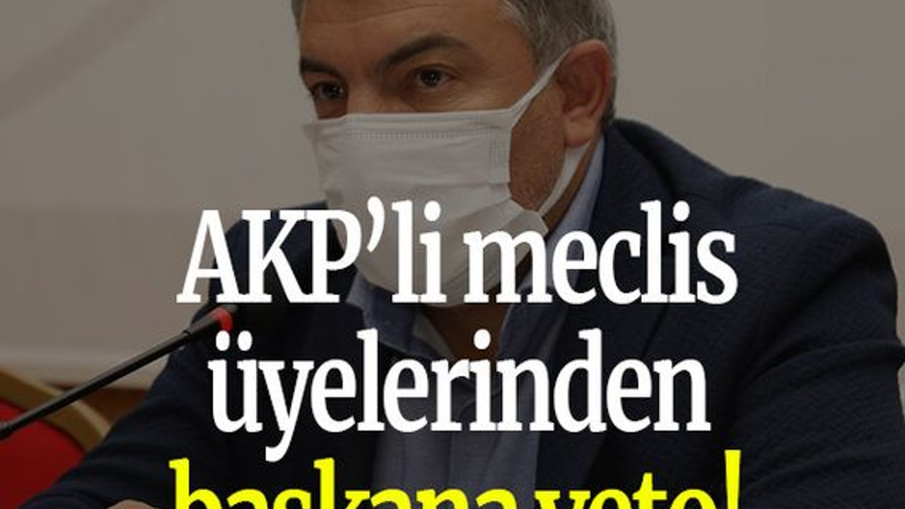 AKP’li meclis üyelerinden başkana veto!